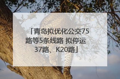 青岛拟优化公交75路等5条线路 拟停运37路、K20路