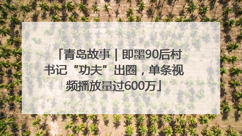 青岛故事｜即墨90后村书记“功夫”出圈，单条视频播放量过600万