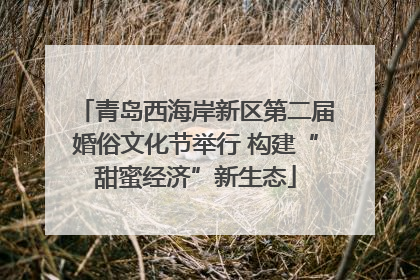 青岛西海岸新区第二届婚俗文化节举行 构建“甜蜜经济”新生态