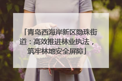 青岛西海岸新区隐珠街道：高效推进林业执法，筑牢林地安全屏障