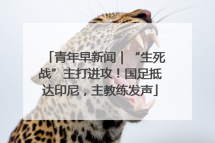 青年早新闻｜“生死战”主打进攻！国足抵达印尼，主教练发声