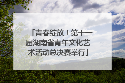 青春绽放！第十一届湖南省青年文化艺术活动总决赛举行
