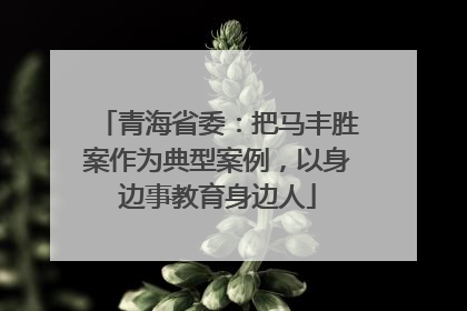 青海省委：把马丰胜案作为典型案例，以身边事教育身边人