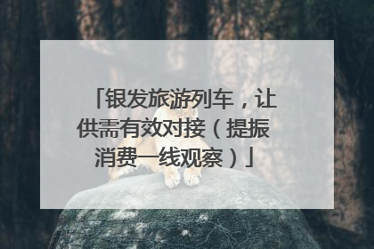 银发旅游列车，让供需有效对接（提振消费一线观察）
