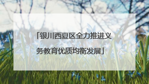 银川西夏区全力推进义务教育优质均衡发展
