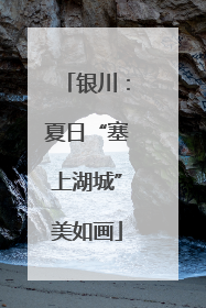 银川：夏日“塞上湖城”美如画