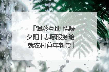 银龄互助 情暖夕阳│志愿服务绘就农村暮年新景