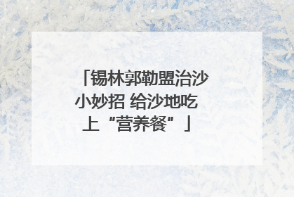 锡林郭勒盟治沙小妙招 给沙地吃上“营养餐”