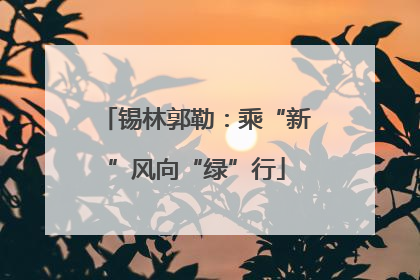 锡林郭勒：乘“新”风向“绿”行