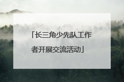 长三角少先队工作者开展交流活动