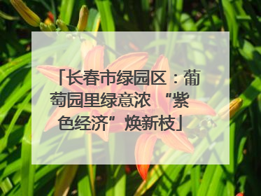 长春市绿园区：葡萄园里绿意浓 “紫色经济”焕新枝