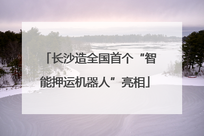 长沙造全国首个“智能押运机器人”亮相