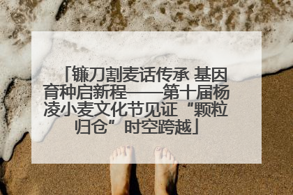 镰刀割麦话传承 基因育种启新程——第十届杨凌小麦文化节见证“颗粒归仓”时空跨越