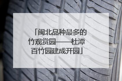 闽北品种最多的竹观赏园——杜潭百竹园建成开园