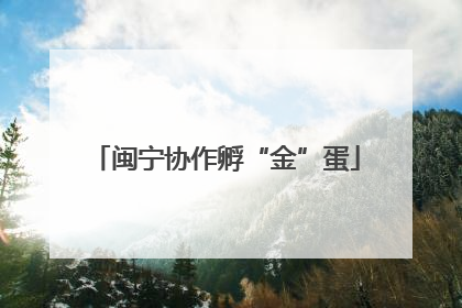 闽宁协作孵“金”蛋