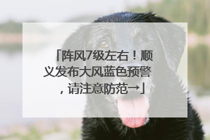阵风7级左右！顺义发布大风蓝色预警，请注意防范→
