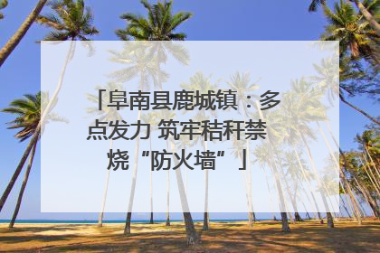 阜南县鹿城镇：多点发力 筑牢秸秆禁烧“防火墙”