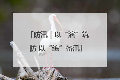 防汛｜以“演”筑防 以“练”备汛
