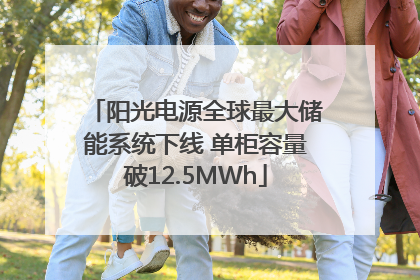 阳光电源全球最大储能系统下线 单柜容量破12.5MWh