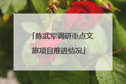 陈武军调研重点文旅项目推进情况