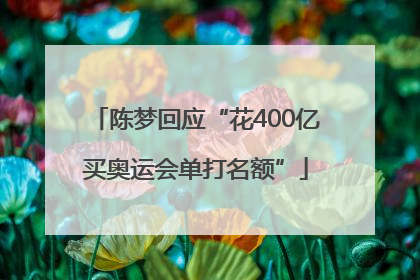 陈梦回应“花400亿买奥运会单打名额”