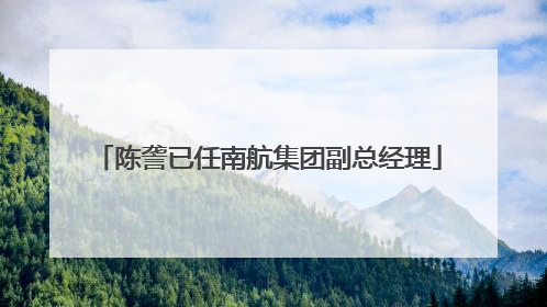 陈詟已任南航集团副总经理