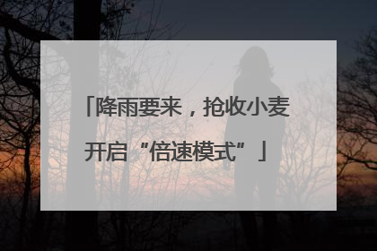 降雨要来，抢收小麦开启“倍速模式”