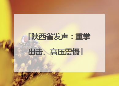 陕西省发声：重拳出击、高压震慑