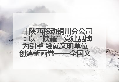 陕西移动铜川分公司：以“陕耀”党建品牌为引擎 绘就文明单位创建新画卷——全国文明单位创建纪实