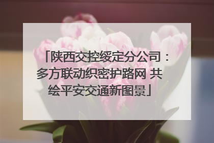 陕西交控绥定分公司：多方联动织密护路网 共绘平安交通新图景