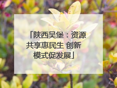 陕西吴堡：资源共享惠民生 创新模式促发展