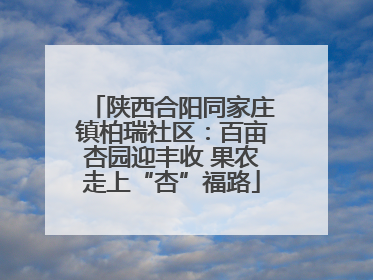 陕西合阳同家庄镇柏瑞社区：百亩杏园迎丰收 果农走上“杏”福路