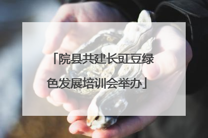院县共建长豇豆绿色发展培训会举办