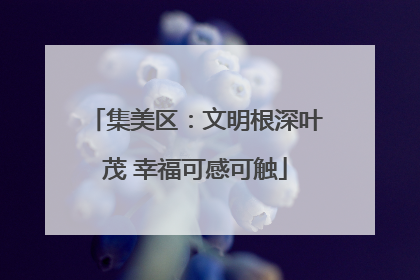 集美区：文明根深叶茂 幸福可感可触