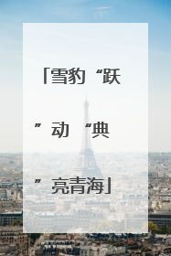 雪豹“跃”动 “典”亮青海
