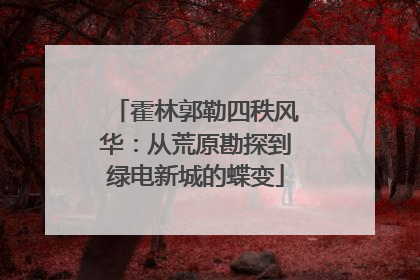 霍林郭勒四秩风华：从荒原勘探到绿电新城的蝶变