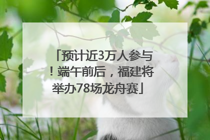 预计近3万人参与！端午前后，福建将举办78场龙舟赛