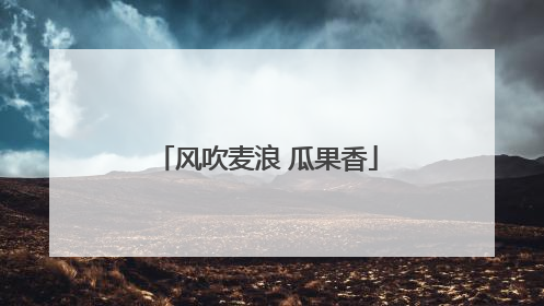 风吹麦浪 瓜果香