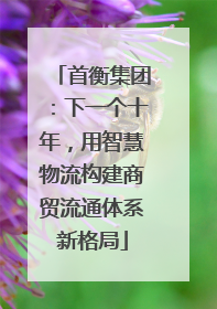 首衡集团：下一个十年，用智慧物流构建商贸流通体系新格局