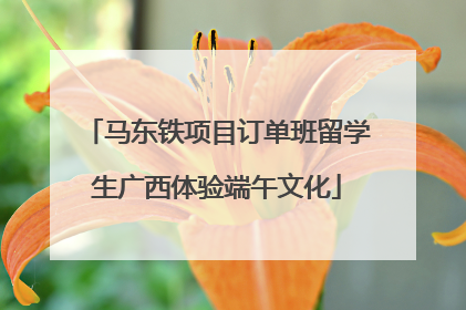 马东铁项目订单班留学生广西体验端午文化