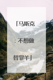 马斯克：不想做替罪羊