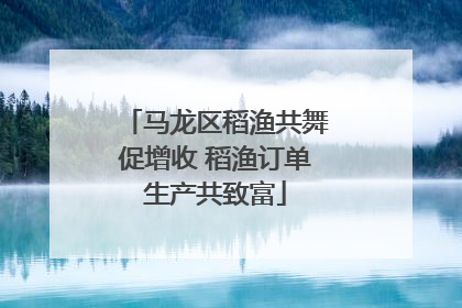 马龙区稻渔共舞促增收 稻渔订单生产共致富