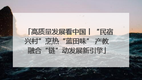 高质量发展看中国丨“民宿兴村”烹热“蓝田味” 产教融合“链”动发展新引擎
