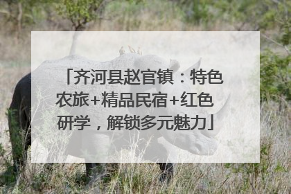 齐河县赵官镇：特色农旅+精品民宿+红色研学，解锁多元魅力