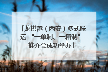 龙拱港（西安）多式联运 “一单制、一箱制” 推介会成功举办
