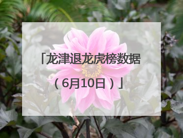 龙津退龙虎榜数据（6月10日）