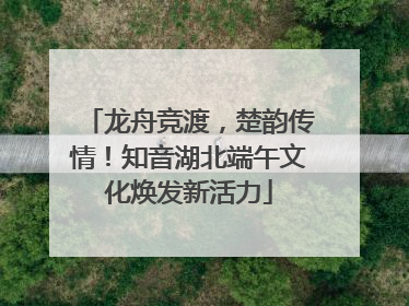龙舟竞渡，楚韵传情！知音湖北端午文化焕发新活力
