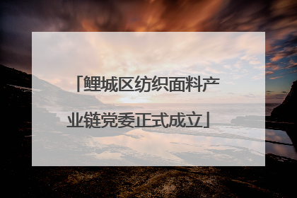 鲤城区纺织面料产业链党委正式成立