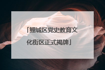 鲤城区党史教育文化街区正式揭牌