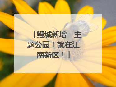 鲤城新增一主题公园！就在江南新区！